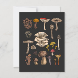 Wild Mushrooms on graphite black Briefkaart