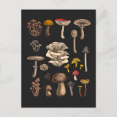 Wild Mushrooms on graphite black Briefkaart (Voorkant)