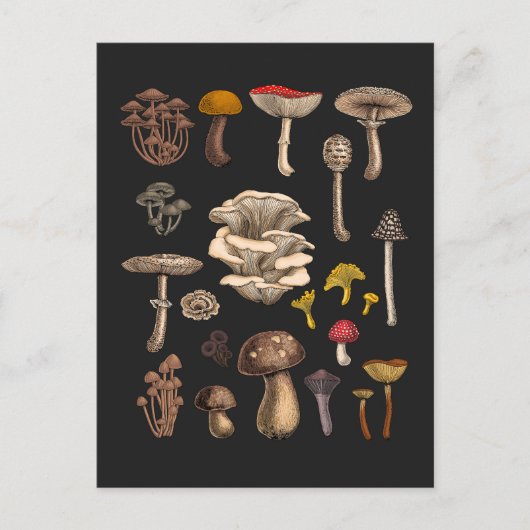 Wild Mushrooms on graphite black Briefkaart (Voorkant)