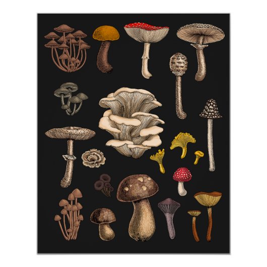 Wild Mushrooms on graphite black Perfect Poster (Voorkant)