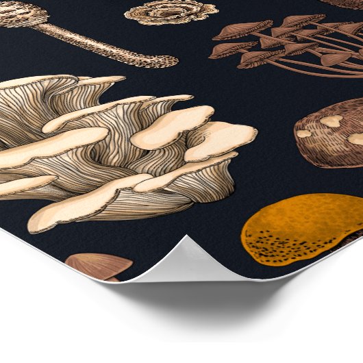 Wild Mushrooms on graphite black Poster (Hoek)