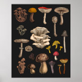Wild Mushrooms on graphite black Poster (Voorkant)
