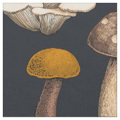 Wild Mushrooms on graphite black Stof (Close Up)