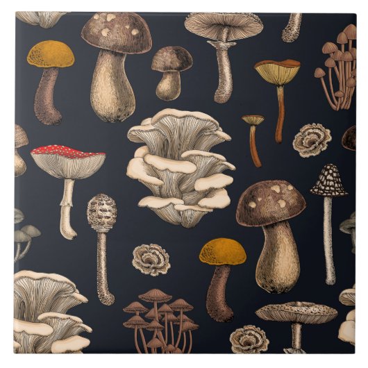 Wild Mushrooms  on graphite black Tegeltje (Voorkant)