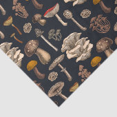 Wild Mushrooms on graphite black Tissuepapier (Detail)