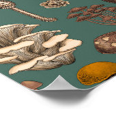 Wild Mushrooms on pine green Poster (Hoek)