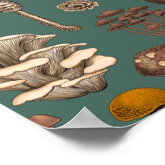 Wild Mushrooms on pine green Poster (Hoek)