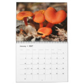 Wild Mushrooms Photography Kalender (Jan 2027)