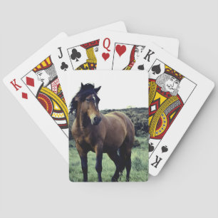 Wild Mustang Deck of Cards Speelkaarten