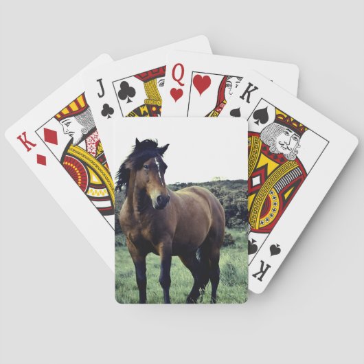 Wild Mustang Deck of Cards Speelkaarten (Achterkant)