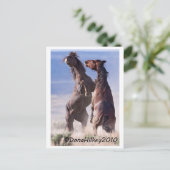 Wild Mustang Fight Briefkaart (Staand voorkant)
