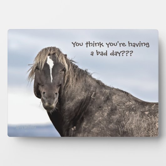 Wild Mustang Fotoplaat (voorkant)