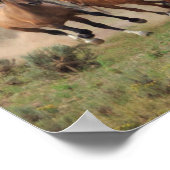 Wild Mustang Herd Poster (Hoek)