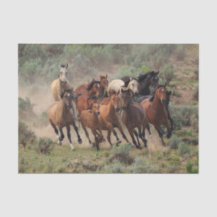 Wild Mustang Herd Tissuepapier