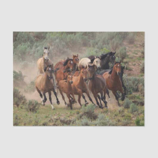 Wild Mustang Herd Tissuepapier (Voorkant)