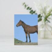 Wild Mustang Horse Briefkaart (Staand voorkant)