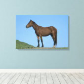 Wild Mustang Horse Canvas Afdruk (Insitu (Houten vloer))