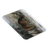 Wild Mustang Horse in de sneeuw 1 Magneet (Rechterzijde)