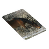 Wild Mustang Horse in de sneeuw 1 Magneet (Rechterzijde)