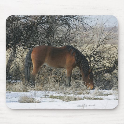 Wild Mustang Horse in de sneeuw 1 Muismat (Voorkant)