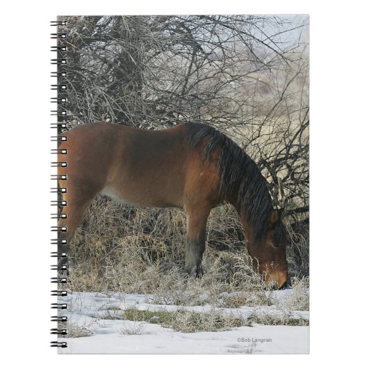 Wild Mustang Horse in de sneeuw 1 Notitieboek (Voorkant)