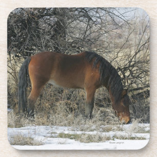 Wild Mustang Horse in de sneeuw 1 Onderzetter