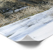 Wild Mustang Horse in de sneeuw 1 Poster (Hoek)