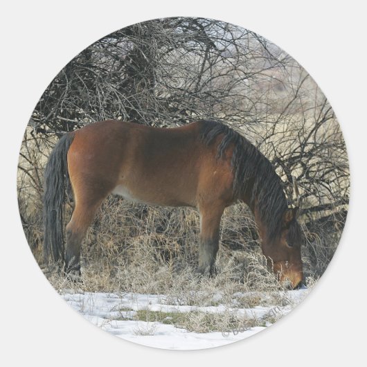 Wild Mustang Horse in de sneeuw 1 Ronde Sticker (Voorkant)