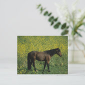 Wild Mustang Horse in Flowers Briefkaart (Staand voorkant)