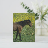 Wild Mustang Horse in Flowers Briefkaart (Staand voorkant)