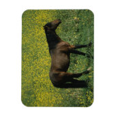 Wild Mustang Horse in Flowers Magneet (Verticaal)