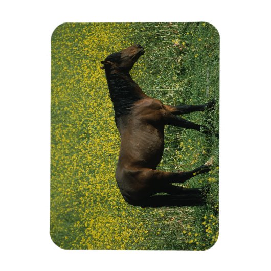 Wild Mustang Horse in Flowers Magneet (Verticaal)