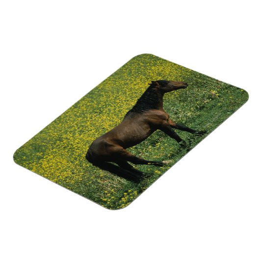 Wild Mustang Horse in Flowers Magneet (Linkerzijde)