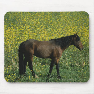 Wild Mustang Horse in Flowers Muismat