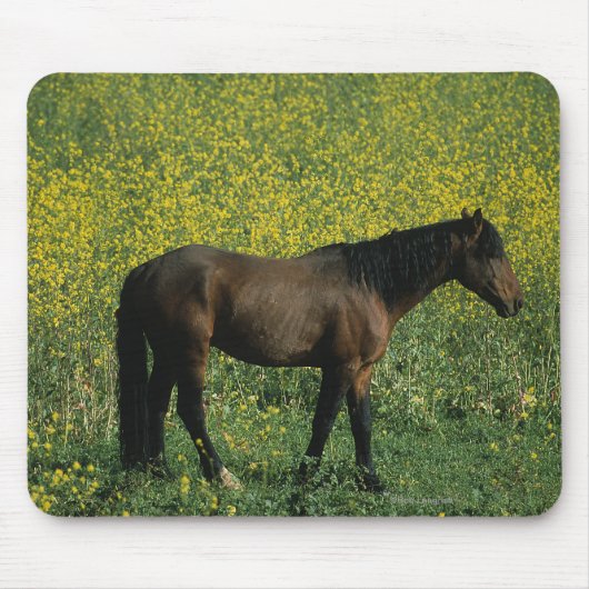 Wild Mustang Horse in Flowers Muismat (Voorkant)