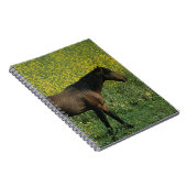 Wild Mustang Horse in Flowers Notitieboek (Rechterzijde)
