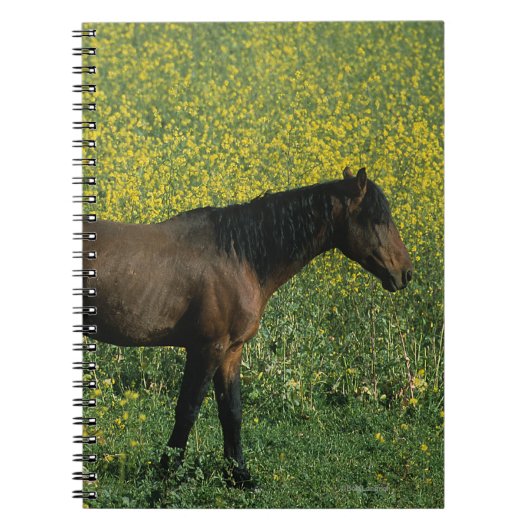 Wild Mustang Horse in Flowers Notitieboek (Voorkant)