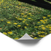 Wild Mustang Horse in Flowers Poster (Hoek)