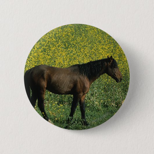 Wild Mustang Horse in Flowers Ronde Button 5,7 Cm (Voorkant)