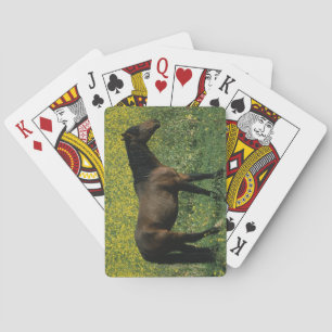 Wild Mustang Horse in Flowers Speelkaarten