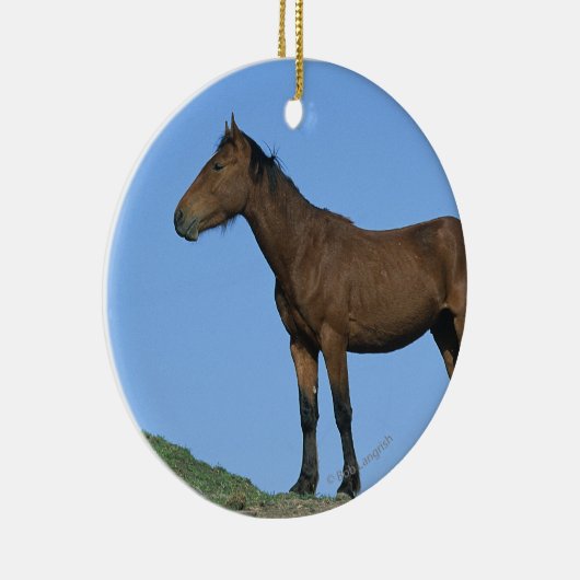 Wild Mustang Horse Keramisch Ornament (Rechts)