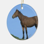 Wild Mustang Horse Keramisch Ornament (Links)