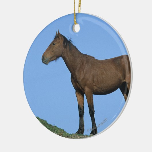 Wild Mustang Horse Keramisch Ornament (Links)
