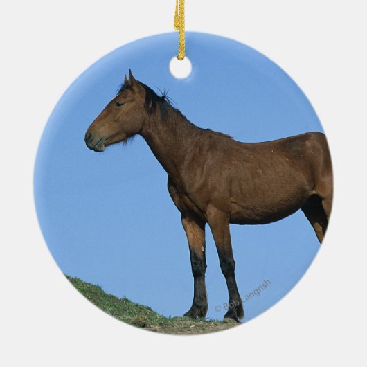 Wild Mustang Horse Keramisch Ornament (Achterkant)