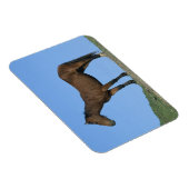 Wild Mustang Horse Magneet (Rechterzijde)