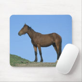 Wild Mustang Horse Muismat (Met muis)