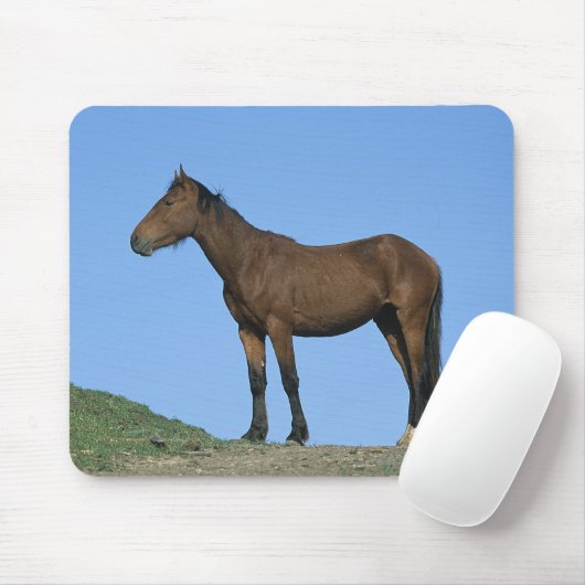 Wild Mustang Horse Muismat (Met muis)