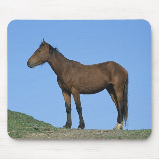 Wild Mustang Horse Muismat (Voorkant)