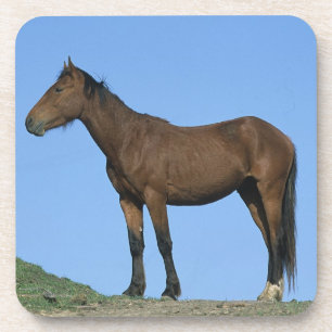 Wild Mustang Horse Onderzetter