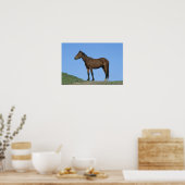 Wild Mustang Horse Poster (Keuken)